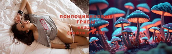 дживик Алексин