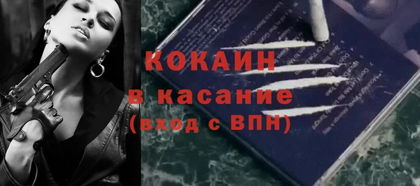 дживик Алексин