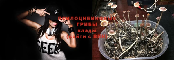 дживик Алексин